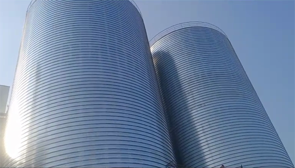 延边朝鲜族2座混凝土高架卷板仓